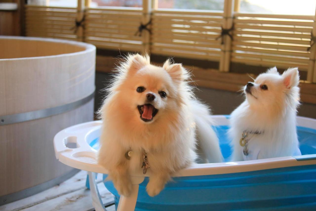 愛犬と泊まれる温泉宿ゆるり西伊豆 エクステリア 写真