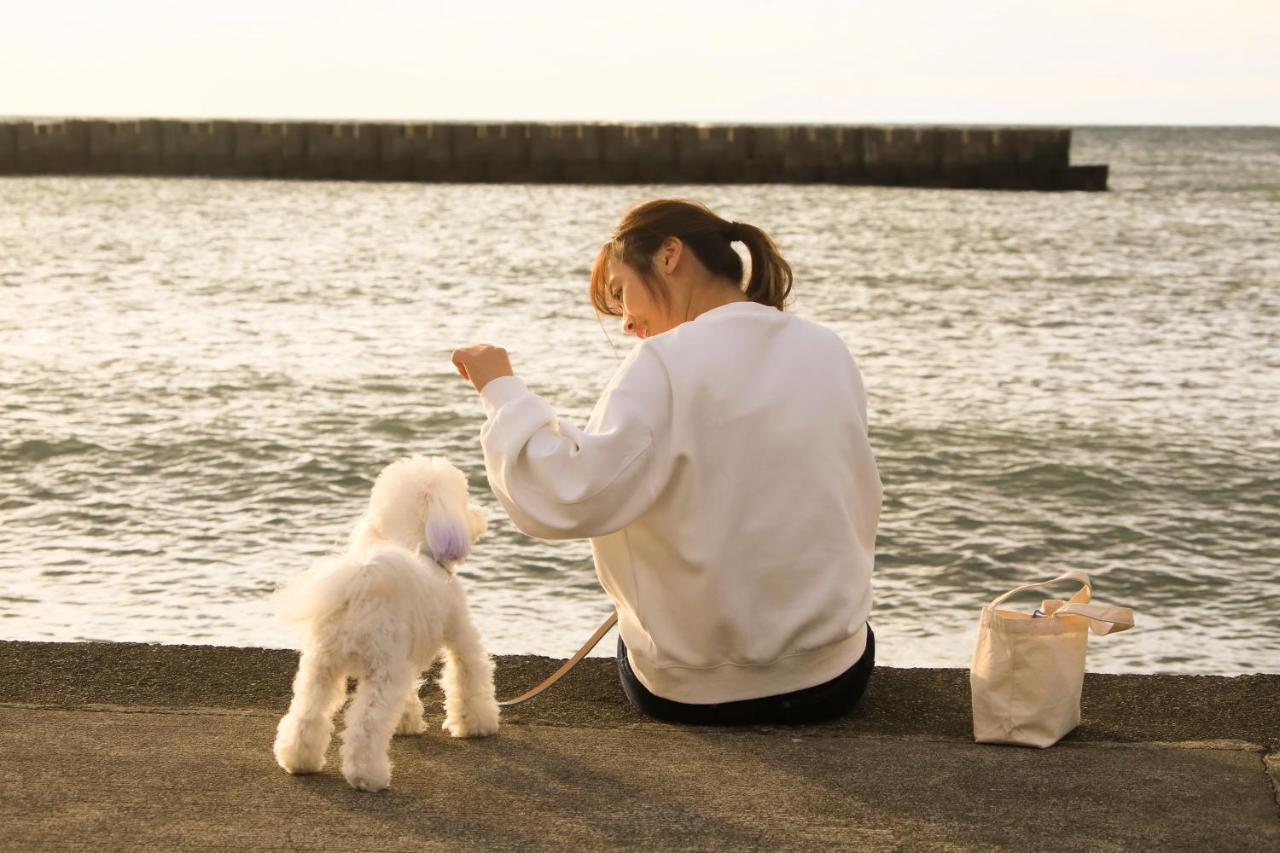 愛犬と泊まれる温泉宿ゆるり西伊豆 エクステリア 写真