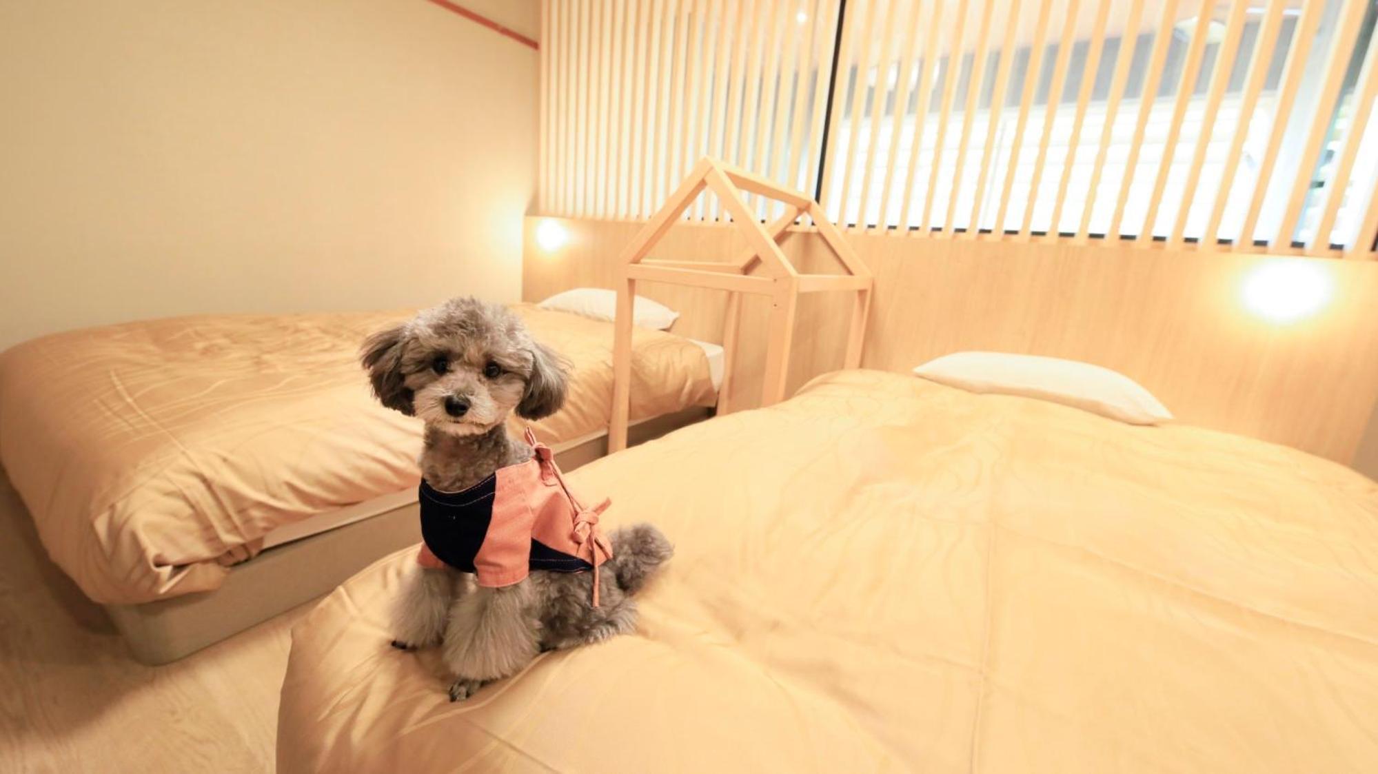 愛犬と泊まれる温泉宿ゆるり西伊豆 エクステリア 写真